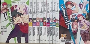 The Devil Is a Part-Timer!, Vol. 3-10,18,20,21 (light novel) New In English YP - Picture 1 of 4