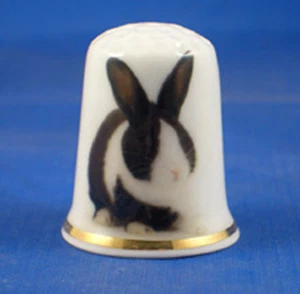 Birchcroft Fingerhut -- Haustiere -- Holländisches Kaninchen -- Kostenlose Kuppelbox - Bild 1 von 3