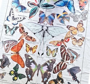 Papillon Butterfly Tapestry / Tablecloth Beautiful - Picture 1 of 4