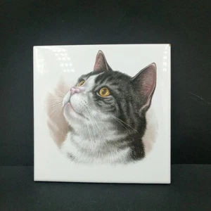  Leonardi Ceramic Gray Tabby Cat Wall Art Tile Made In Formigine Italy 6"X 6" - Picture 1 of 10