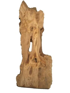 1x Madera de raíz de olivo madera para epoxi 121x25-41cm x 50mm - Imagen 1 de 7