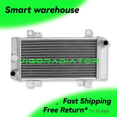 Radiador V1 apto para Kawasaki Ninja 250R EX250J 2008-2012 2009 2010 2011 aluminio Foto 1 de 4