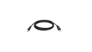 Tripp Lite U022‑006 6 ft Gold‑Plated USB 2.0 A‑to‑B Cable, Shielded, Lifetime Wa - Afbeelding 1 van 1