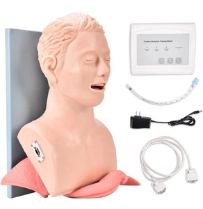 Maniquí de intubación Bavnro 110V modelo de enseñanza, intubación nasal oral vías respiratorias M... - Imagen 1 de 6