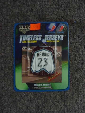 Timeless Collection Jerseys Magnet - Milan Hejduk 23 Colorado Avalanche * Elby * Cover