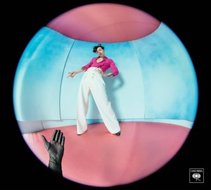 harry styles merch ebay