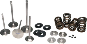 Kit de resorte doble Ferrea para Honda S2000 - Imagen 1 de 1