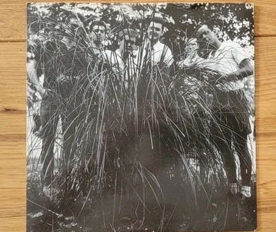 The Larks, All Or Nothing Girl, Single Vinyl, selten, Brit Pop - Bild 1 von 4