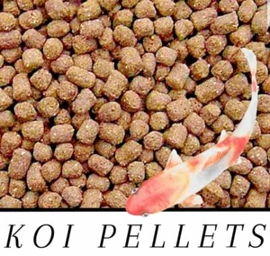 BEST Koi Chiclid Goldfish Fish Food Floating Pond Pellets Medium or Lrg *CHOOSE* - Picture 1 of 4