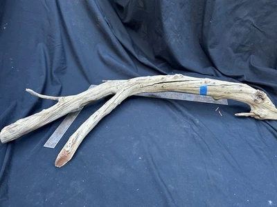Manzanita Driftwood Slate Piece for Aquarium and Reptile Terrarium Decor 37x5x16 - Image 1 of 4