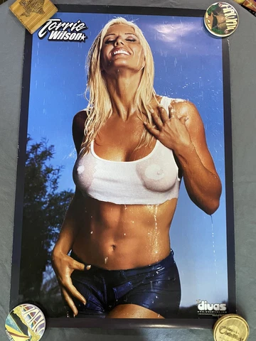 Vintage Official WWF WWE 2003 Divas Poster  Torrie Wilson 24x36” RARE Cover