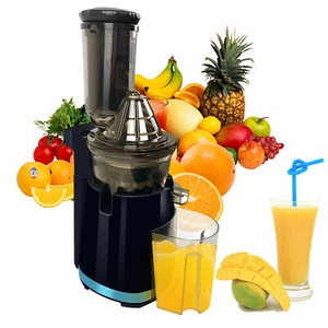 Slow Cold Press Juicer 250W for Maximum Nutrient Extraction & Quiet Operation - Picture 1 of 10