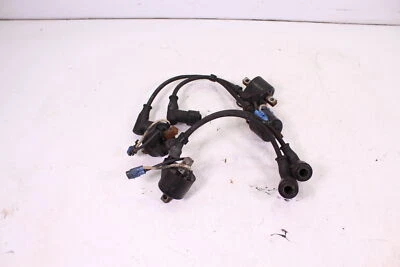 Arctic Cat M1000 2007 bobinas de encendido 3007-548 Foto 1 de 4