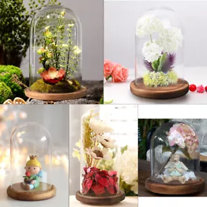Extra große vielseitige dekorative Glasvitrine Cloche Kuppel mit Massivholzsockel - Bild 1 von 7