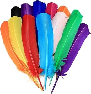 Daieeparty 12pcs Mix Color Wild Turkey Tails Feathers - Picture 1 of 7