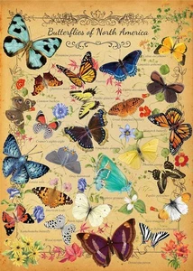 Vintage Butterfly Puzzle for Adults 1000 Piece, North America Flower Plant...  - Picture 1 of 8