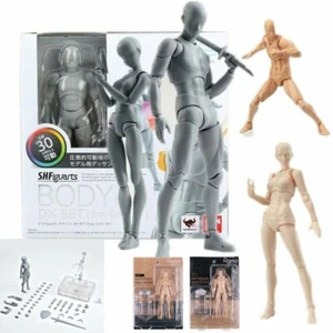 Figma She/he S.H.Iguarts SHF Body kun DX SET PVC Body chan DX Doll toys move - Picture 1 of 46