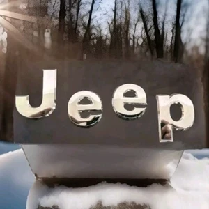 Jeep Grand Cherokee Liberty 2002 -2009  Rear Letter Nameplate Emblem  - Picture 1 of 2