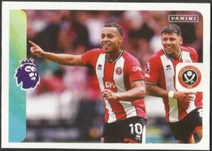 PANINI 2024 PREMIER LEAGUE- #545-SHEFFIELD UNITED-CAMERON ARCHER CELEBRATES - Picture 1 of 1