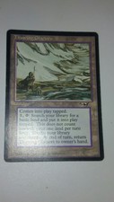 MTG Thawing Glaciers x1 A LP Alliances Magic the Gathering