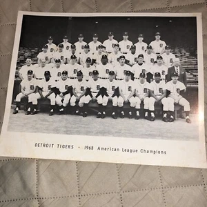 Foto de prensa del equipo de campeones de la Liga Americana 1968 de los Tigres de Detroit - Imagen 1 de 5
