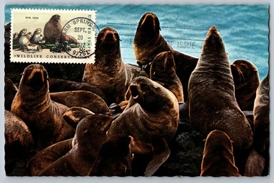 #1464 Wildlife Conservation Fir Seal FDC Maxi Card - Image 1 of 2