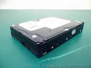 Western Digital Caviar 160GB 7,200 RPM 3.5 in. SATA HDD WD1600JD-75HBC0 - Picture 1 of 5