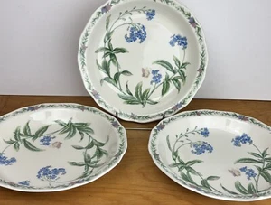 Noritake Gala Cusine Wintergarten Suppe Pastaschalen flach (4) Posten Top - Bild 1 von 6
