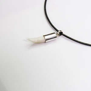 29-32mm saltwater crocodile tooth necklace 92.5 S silver Crocodylus porosis s35 - Picture 1 of 6