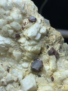 Collection Combo Of Garnet Cluster With Smoky Quartz And Schorl From Pakistan - Picture 1 of 7