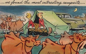 Novelty Humor Card - Camp Site - Couple in Tent With Cows - Unused/Unposted - Imagen 1 de 2