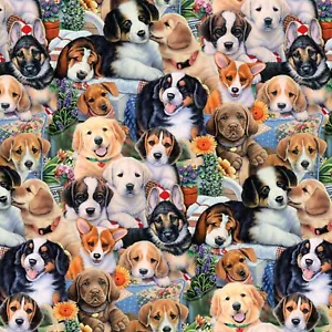 Tessuto Cani Cuccioli Giardino DTEXTILES Cotone 1/4 Cortile 1676 - Foto 1 di 4
