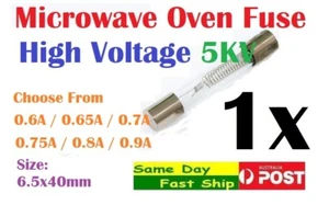 One Microwave Oven Fuse 5KV High Voltage 0.9A/0.8A/0.75A/0.7A/0.65A/0.6A AU - Picture 1 of 1