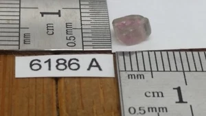 TURMALIN WASSERMELONE Rohstein RAR Mineralien Lithotherapie Reiki Esoterik - Bild 1 von 1