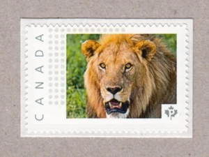 LION = BIG CAT = PREDATOR = Picture Postage MNH stamp Canada 2016 [p16/09wc] - Picture 1 of 2