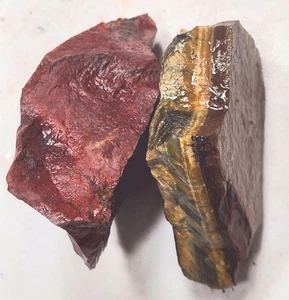 Fossil Proben Stück für Mineraliensammlung oder Display - Bild 1 von 7