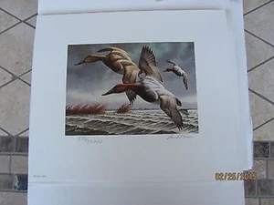 #RW49 1982 Bund Ente Briefmarken Druck mit Folio ohne Stempel #RW49DW25 DSS - Bild 1 von 2