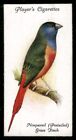 Players Cigarette 1933 Aviary and Cage Birds Card#47 Nonpareil Grass Finch