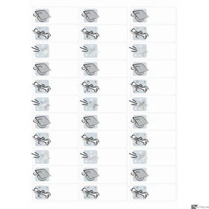 Cap & Diploma Graduation Announcement 2.6x1IN 90pc Address Labels, Silver White - Picture 1 of 1