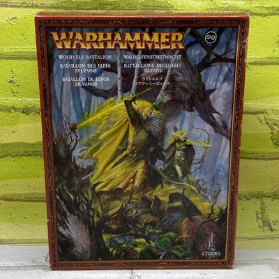 Warhammer Wood Elf Battalion 2007 Games Workshop Citadel Miniatures Set 92-09 Foto 1 de 4