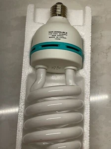 Replacement 60 Watt CFL Bulb = 300 W 5500K Non-Dimmable Photography Lighting - Picture 1 of 3
