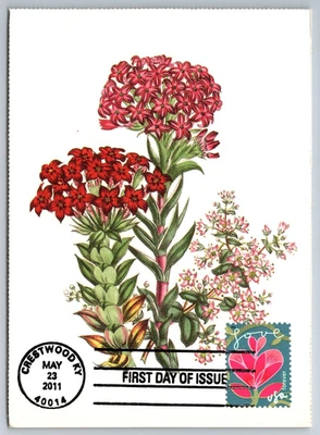 #4531 Garden of Love Pink Flower FDC Maxi Card - Image 1 of 2