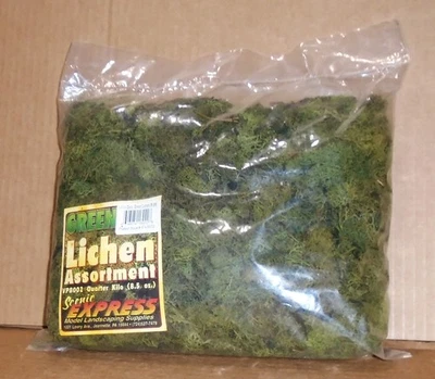 : Grande pacote de material paisagístico Scenic Express "Green Lichen". - Imagem 1 de 4