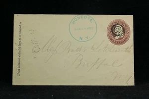 New York: Honeoye 1897 Cover, Green CDS, Ontario Co - Picture 1 of 2