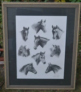 VINTAGE HORSE Framed Art Print Sheri Greves-Neilson - Picture 1 of 11