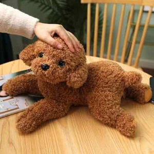 New Plush Toy Stuffed Dolls Birthday Gift for Baby Kids Girls - Picture 1 of 24