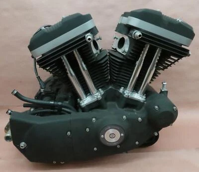 Harley-Davidson Iron 883 XL883N 2009-2021 motor transmisión Foto 1 de 4