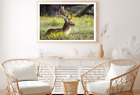 Deer & Yellow Flower Plant View Print Premium Poster High Quality choose sizes