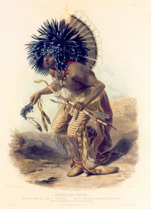 Costume of the Dog Dance Warrior 15x22 Karl Bodmer Native American Indian Art - Picture 1 of 1