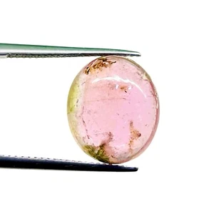 9.30 Cts Natural Tourmaline 15x13mm Bi color Cabochon Untreated Loose Gemstone - Picture 1 of 15